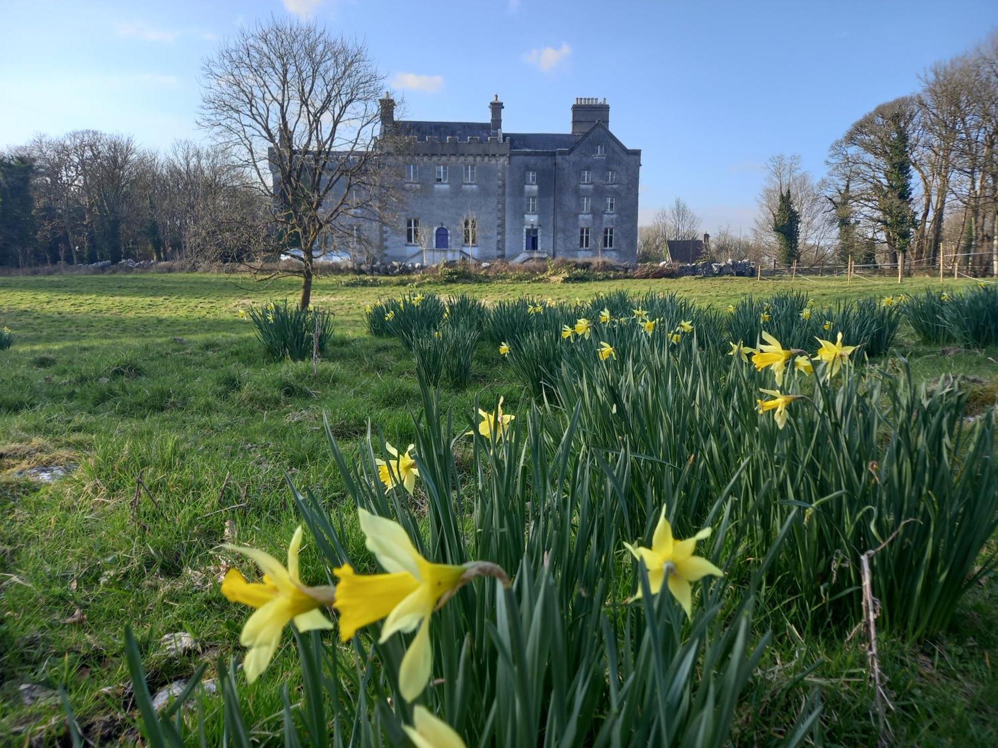 Cregg Castle Casa de hóspedes Galway Exterior foto